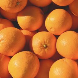 Naranja 🍊 Dulce Y Jugosa !!PERRIS