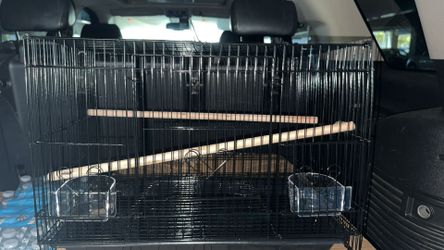 Bird Cage