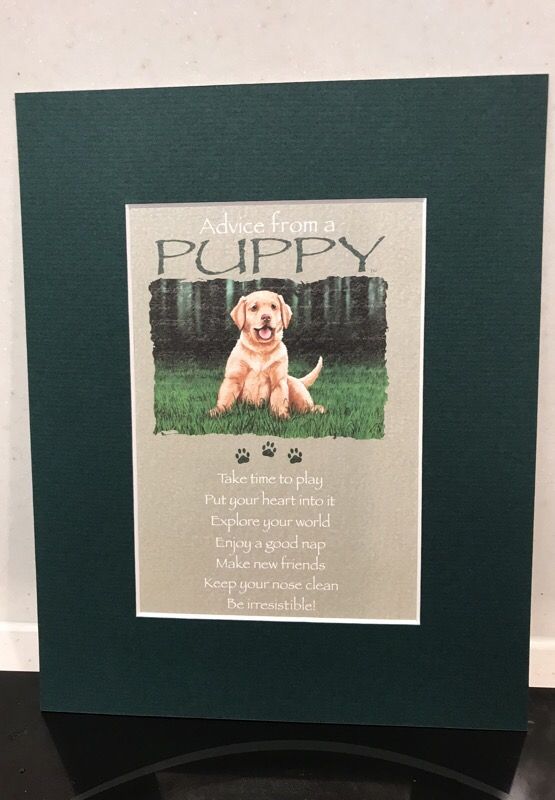 Matted Print advice From a Puppy