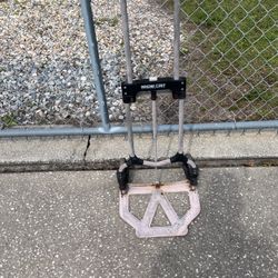 Magna Cart