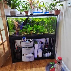 50 Gallon Fresh Water Fish Tank