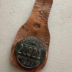 Public Hack Driver Badge 1929