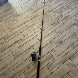 Fishing Rod