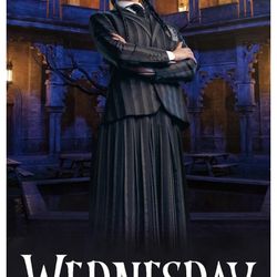 Trends International Wednesday - Portrait Wall Poster NIP