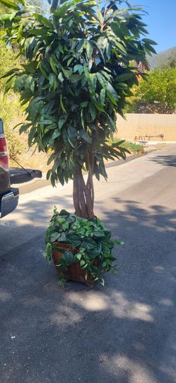 Large Artificial Ficus Tree in Wooden Planter