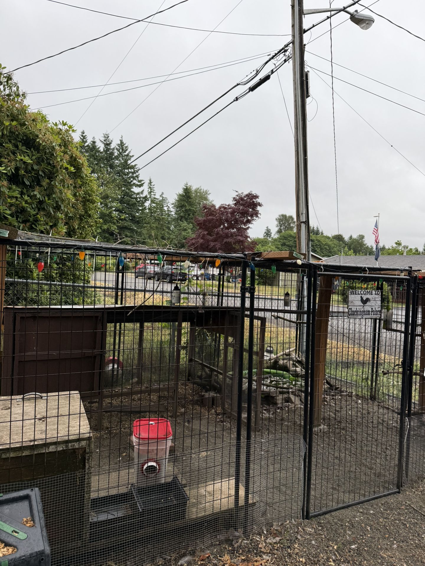 10 By 20 Dog Run. Brand Lucky Dog Kennel.