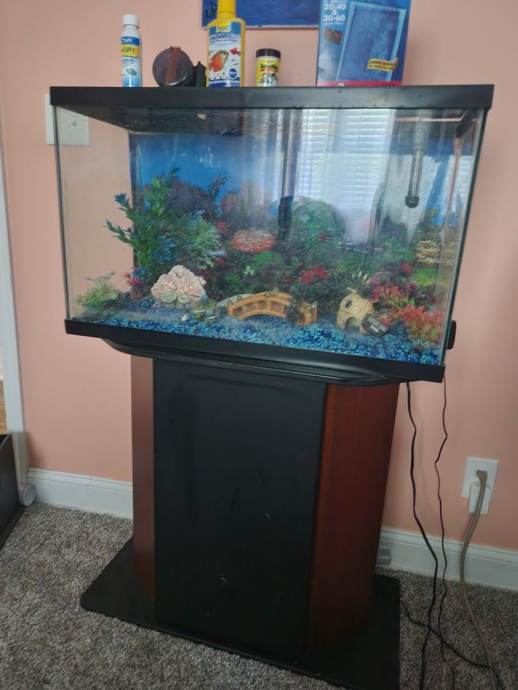 29 Gal Aquarium W/stand & Supplies