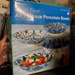 Four Pc New Pasta Bowl Set