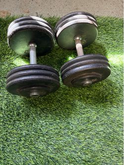 70lb dumbbells