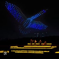 Fever Drone Art Show