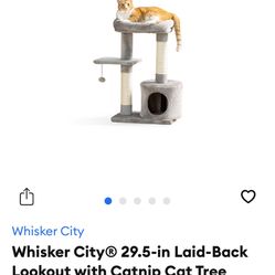Cat Stuff 