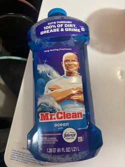 Mr. Clean multi purpose