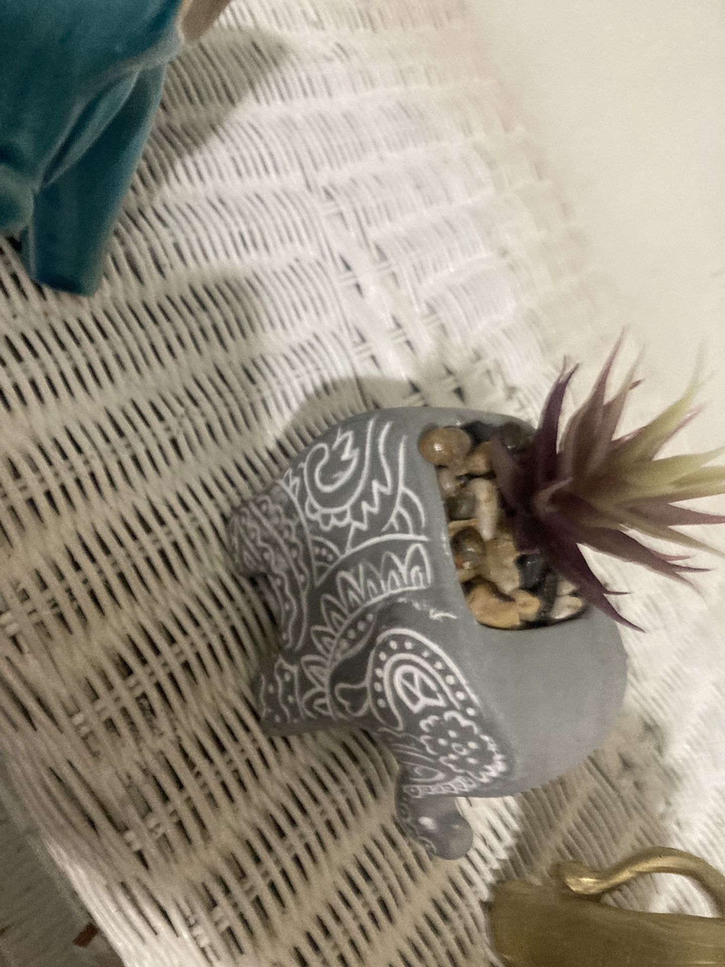 Elephant Colection