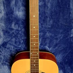 Palmer Pd21-Pk2-WB/N Acoustic Guitar 