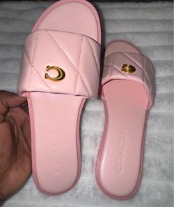 Pink Coach Slides