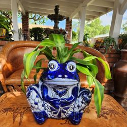 Talavera ✨️ Planter Frog💚$55°°