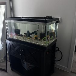 Fish With Tank 