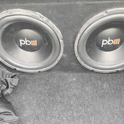 2 12" subs in ported box