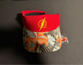 Six Flags The Flash Visor