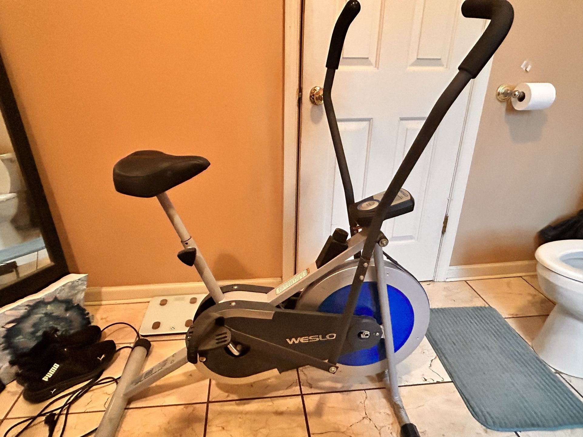 Weslo Exercise Bike