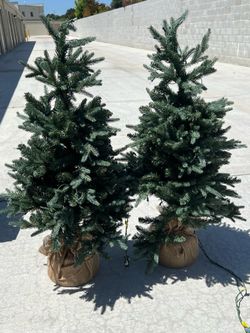 Pair of Christmas Trees