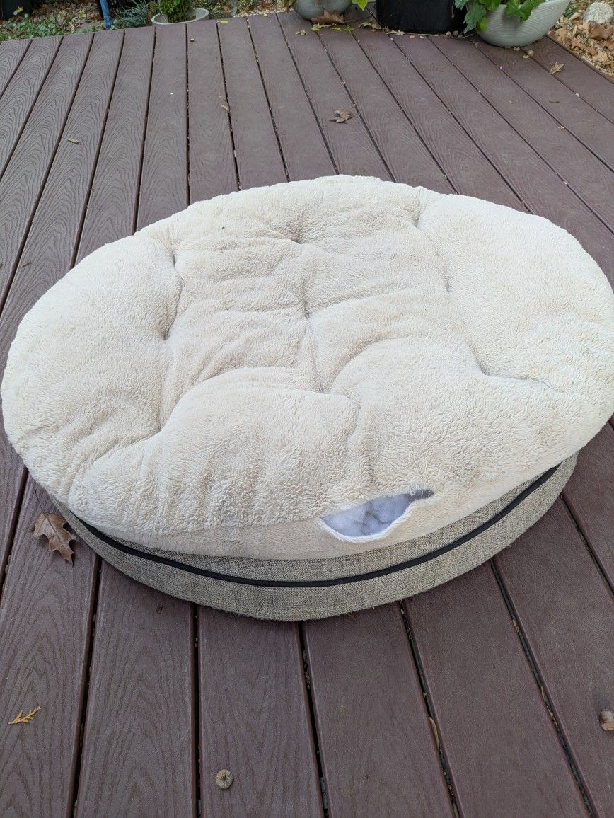 FREE: Large, Round Dog Bed