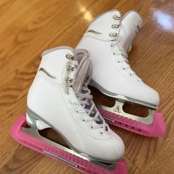Skates and bag
