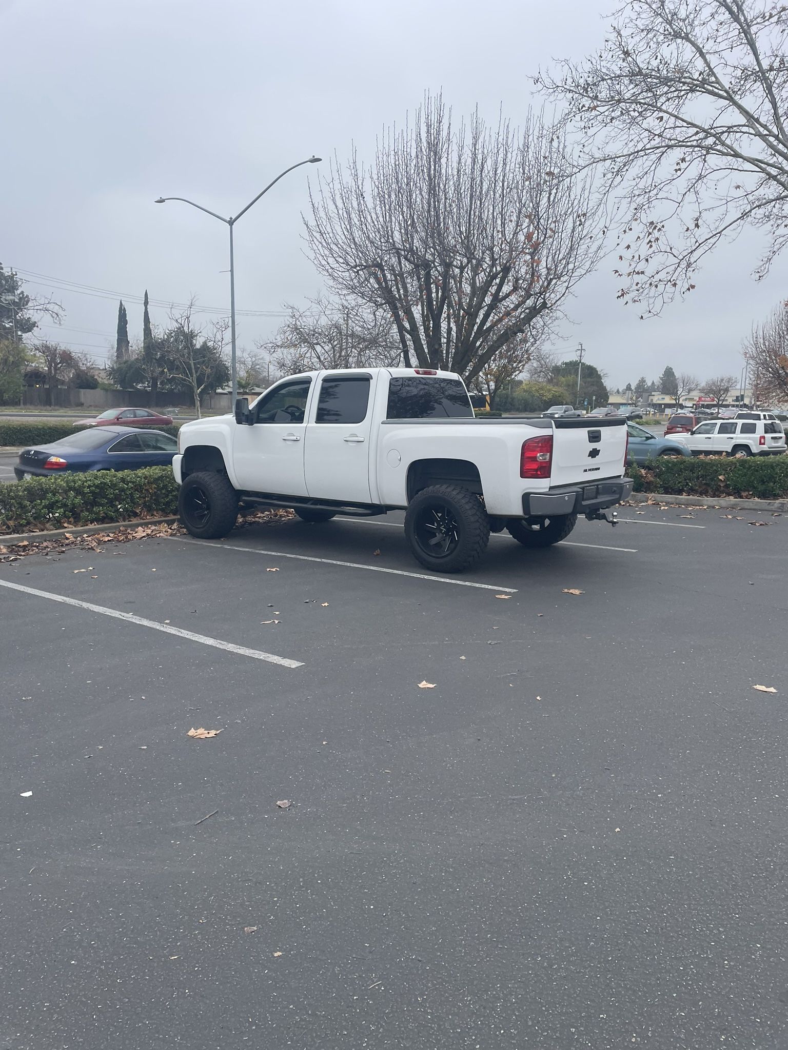 2009 Chevrolet Silverado
