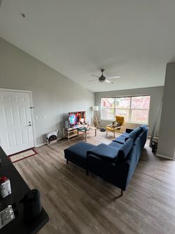 Blue couch