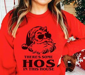 Christmas sweatshirt or hoodie