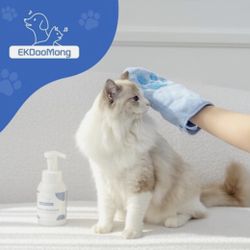 Cat Steam Brush for Shedding, Waterless Pet Shampoo & Grooming Kit