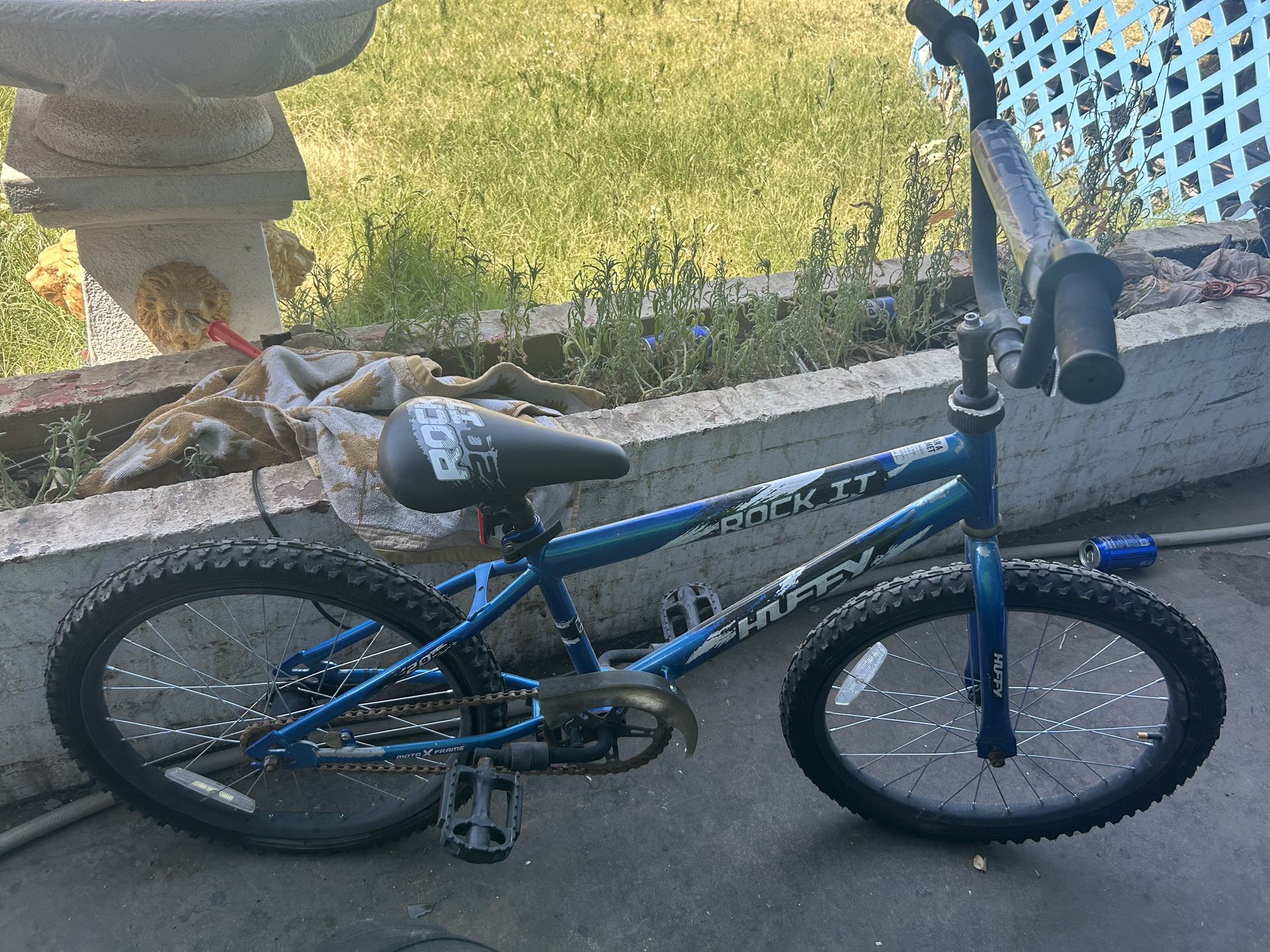20” Bike 