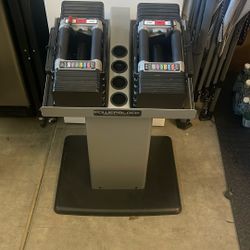 Powerblock Weights With Stand 