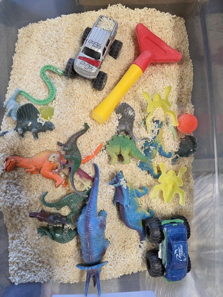 Rice Sensory Box