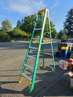 Werner 8ft 225lbs Capacity Ladder