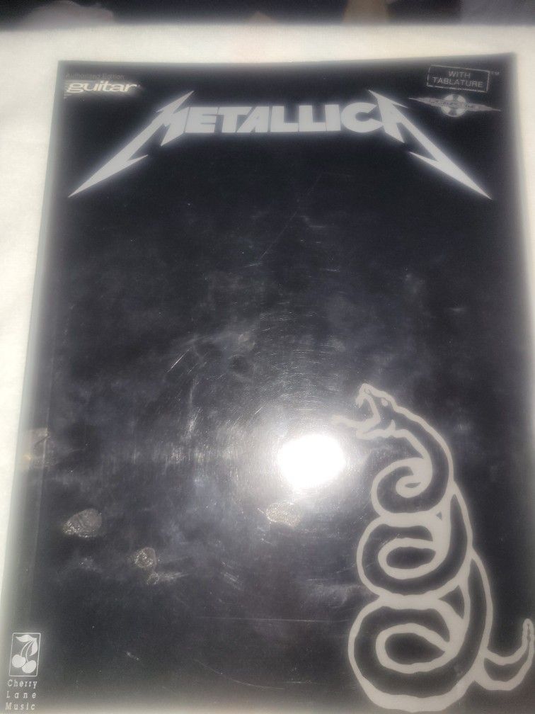 METALLICA, NIRVANA, STAIND, STONE TEMPLE PILOTS, CREED , IBANEZ 