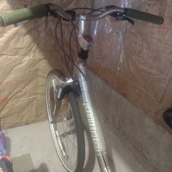 12-speed Female Bicycle Cadillac