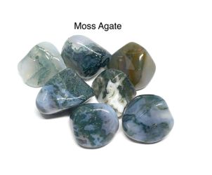 Moss Agate Genuine Stones 7pcs 73.2g Total