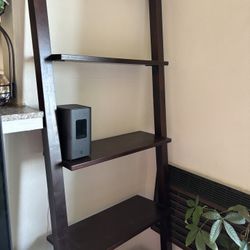 Ladder Shelf