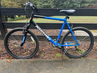 Nishiki bike XL