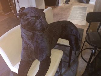 Large Black Velvet Bull Stuffed Animal