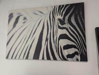 Zebra Canvas