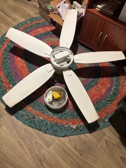 Ceiling fan