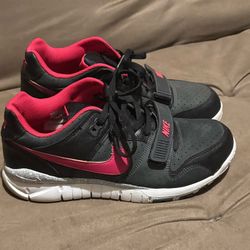 Nike Trainer Dunk Low...Vintage 
