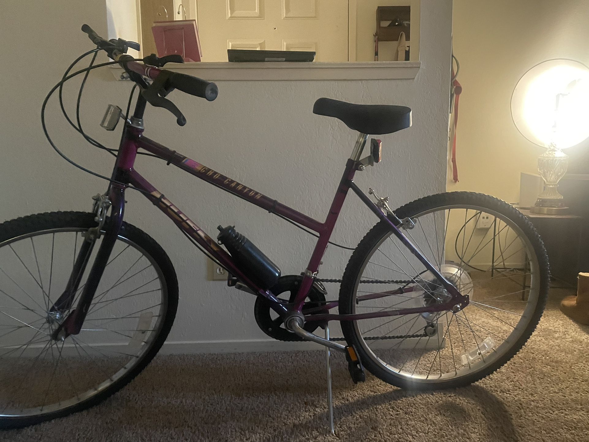 Echo Canyon Huffy Bike