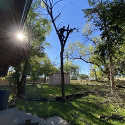 Tree Work