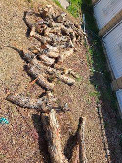 Fire wood