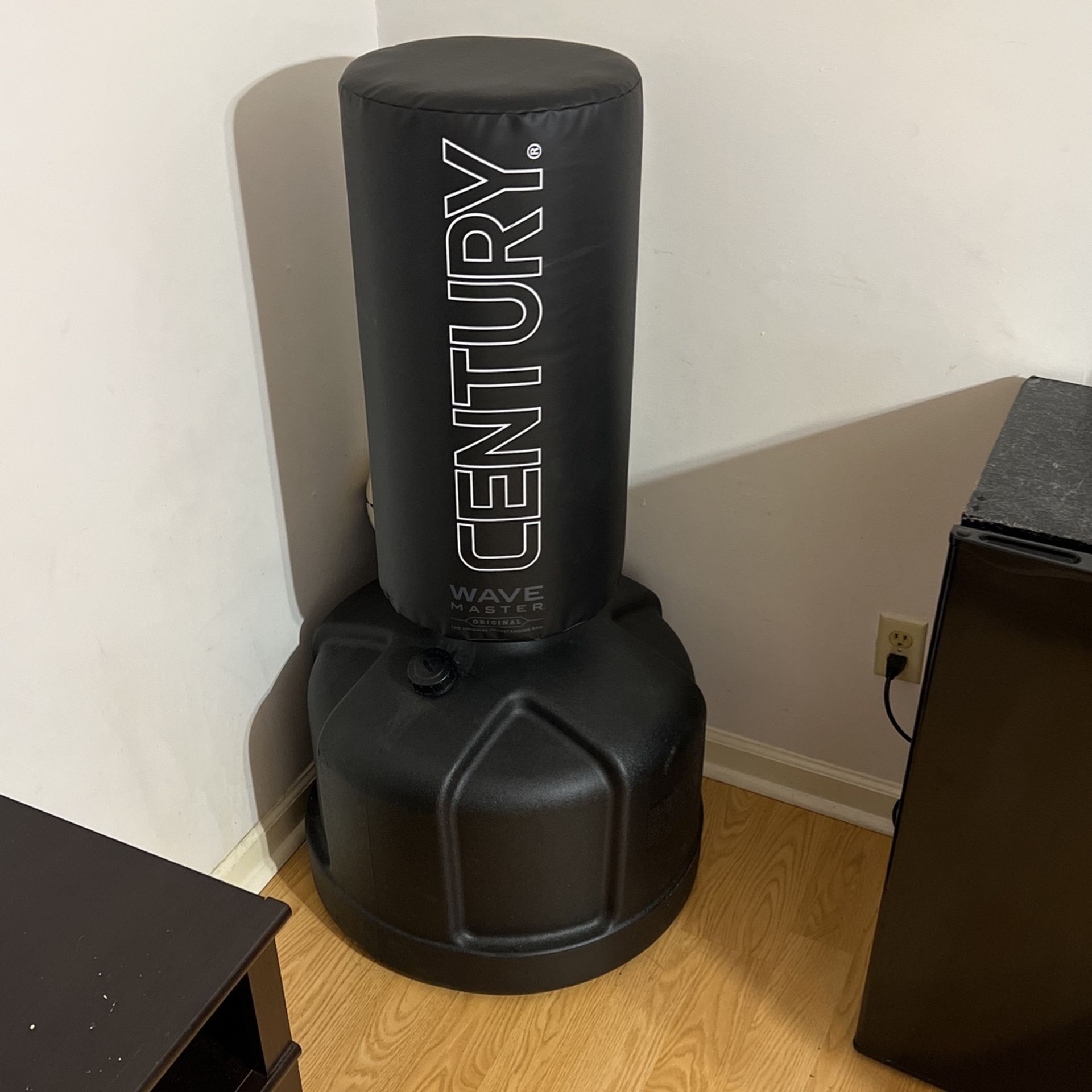 Century Punching Bag