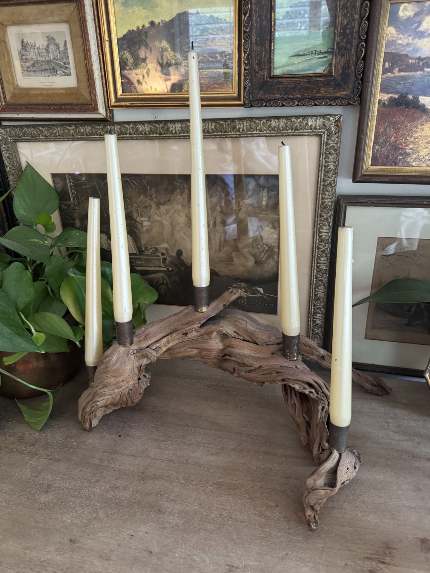 Vtg Driftwood Candelabra Organic Centerpiece Candle Holder Sculptural Live Edge Grapevine Coastal