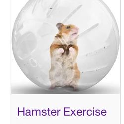 Hamster exercise Ball 
